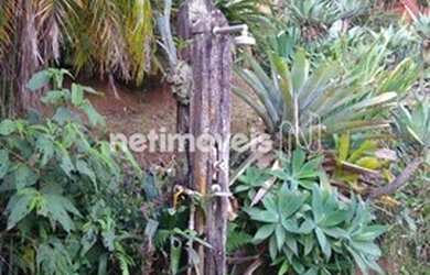 Imagem 12: Venda Sítio Saraiva Betim