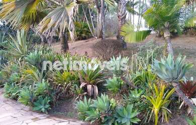 Imagem 9: Venda Sítio Saraiva Betim