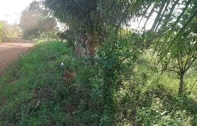 Imagem: A chácara possui 4m² de Área, Imóvel novo e está localizado