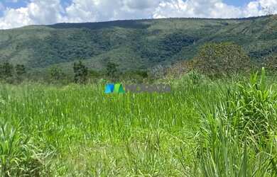 Imagem 13: FAZENDA À VENDA - 190 HECTARES - BURITIS MG