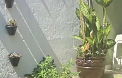 Imagem 2: EXCELENTE CASA EM UBATIBA - QUINTAL AMPLO E ÁREA GOURMET