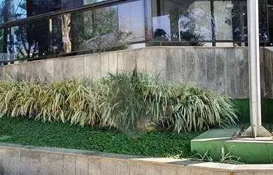 Imagem 15: Salas à venda ou para locação em Higienópolis - SP