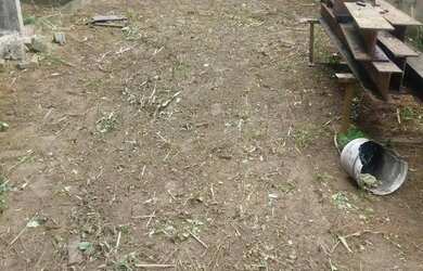 Imagem 6: Galpão em Valéria com 1.600 m² para locação ou venda