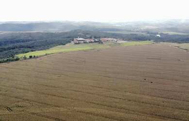 Imagem 3: Fazenda a venda, entre Paracatu e Cristalina / Goiás