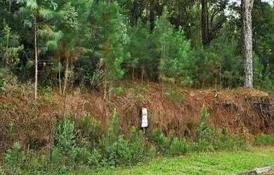 Imagem: O terreno possui 450m² de Área e está localizado em Canela