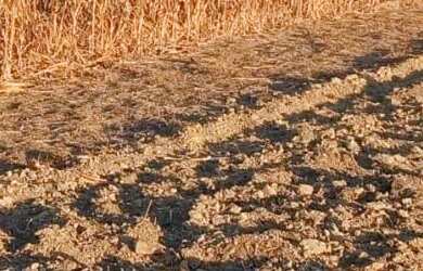 Imagem: A fazenda possui 1.640.000m² de Área e está localizado em