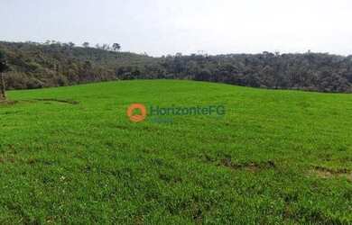 Imagem: Fazenda de 45.4 Alqueires. Mecaniza de 25 à 30 Alqueires. 40