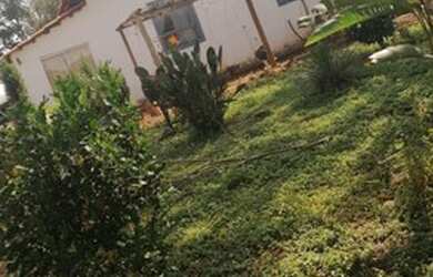 Imagem 8: CHACARA MUNICIPIO DE BELA VISTA 50 KM DE GOIANIA