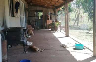 Imagem 2: CHACARA MUNICIPIO DE BELA VISTA 50 KM DE GOIANIA