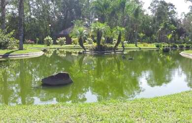 Imagem 4: Excelente terreno em um dos melhores Condomínios em Ilha de Guaratiba