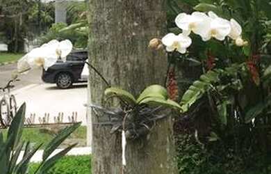 Imagem 11: Casa Condomínio - Vista Linda - Bertioga - Residencial Condomínio Hanga...