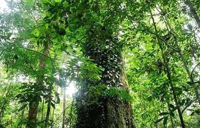 Imagem: O terreno possui 65m² de Área e está localizado em São