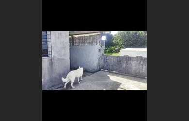 Imagem 10: Vendo casa em Sucupira. Imóvel novo, Guarda roupa, 1 Vaga na garageme2...