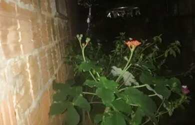 Imagem 2: Vendo uma casa com tudo dentro por 100.000 com tudo dentro