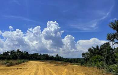 Imagem 8: Lote em Bairro Planejado com acesso ao Rio Negro mensais R$571,00 Reais