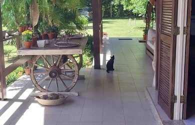 Imagem 8: CASA RESIDENCIAL em LAURO DE FREITAS - BA, PORTÃO