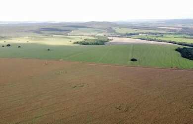 Imagem 9: Fazenda a venda, entre Paracatu e Cristalina / Goiás