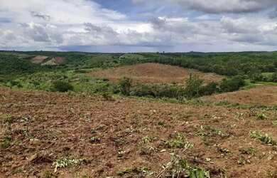 Imagem 5: Sítio localizado no Municípo Sítio do Quinto/BA