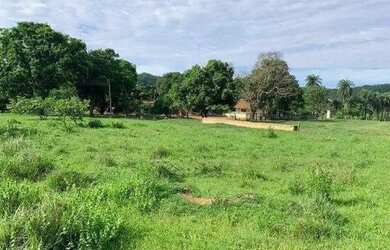 Imagem: A fazenda possui 934m² de Área e está localizado em Área