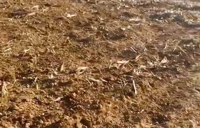 Imagem: A chácara possui 20.000m² de Área e está localizado em