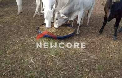 Imagem 6: Sítio em Guareí - Centro - Guareí/SP