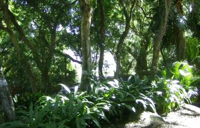 Imagem 3: MANSÃO de 600,00m2 em terreno de 1500,00m2 no Guarujá