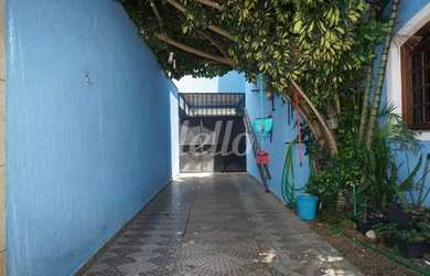 Imagem 11: São Paulo - Casa Comercial - Mooca