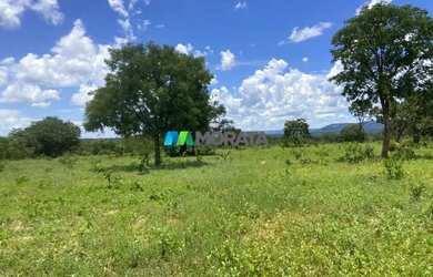 Imagem 5: FAZENDA À VENDA - 190 HECTARES - BURITIS MG