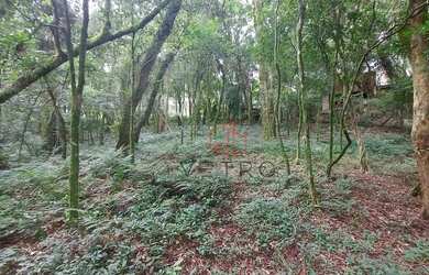 Imagem 4: Terreno à Venda em Canela