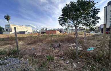 Imagem 2: Lote à venda em Vila Brasília com 293,75m²