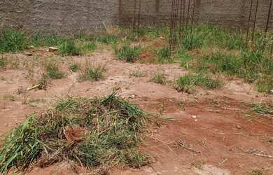 Imagem 2: ? Vende-se Terreno - Bairro Mansour 3