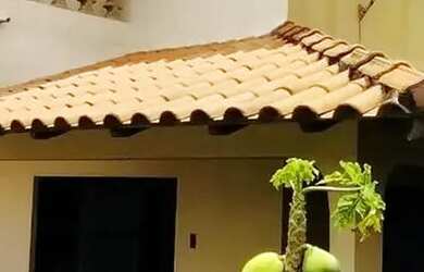 Imagem: O apartamento possui 3 Dormitórios, 3 Banheiros, 5 Vagas na