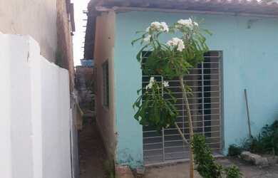 Imagem 11: 3qtos viz patricia costa e a feira 1ªetapa 2vgs r. calç disp. p/fevereiro