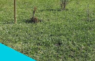 Imagem: O terreno possui 200m² de Área e está localizado em Porto