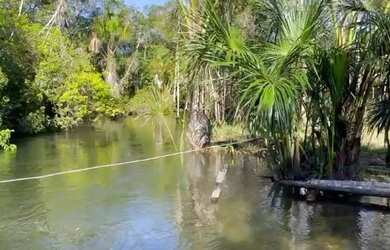 Imagem: A fazenda possui 43.160.000m² de Área e está localizado