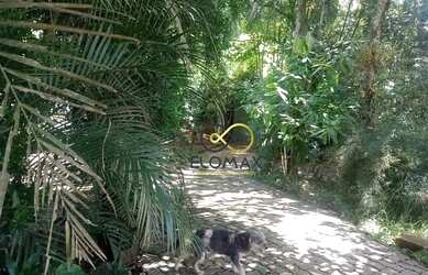 Imagem 8: Vende - Chácara - 2 quartos, 1 suite c/ Hidro dupla 02 banheiros em granito , 2.150m² - Pi