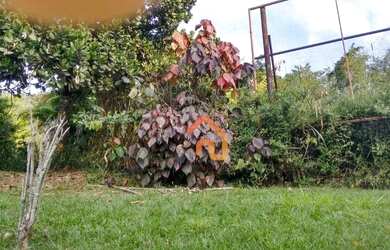 Imagem 2: Área à venda, 30000 m² por R$ 10.000.000,00 - Pendotiba - Niterói/RJ