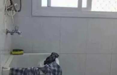 Imagem 6: Apartamento com 3 dormitórios para alugar, 122 m² por R$ 10.850,00/mês - Jardim Flor da Mo