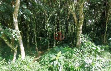 Imagem 9: Terreno à Venda em Canela