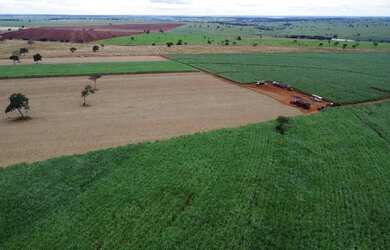 Imagem: A fazenda está localizado em Uberlândia, MG à venda por