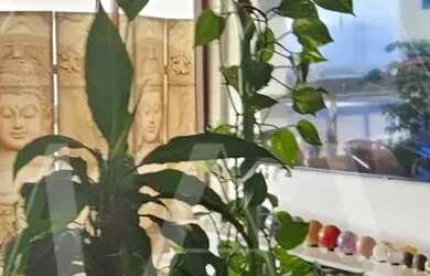 Imagem 1: Apartamento 1 Dormitório com vista livre novo, no Bairro da Aviação,...