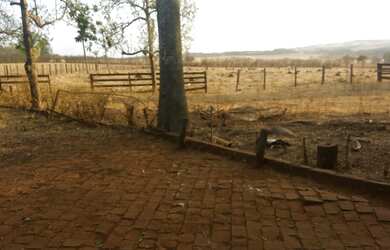 Imagem: A fazenda e está localizado em MG à venda por R$8.000.000