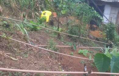 Imagem 7: Chacara prox a rodovia apenas 135 mil reais