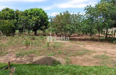 Imagem 6: Chácara Residencial disponível para Venda no bairro Área Rural em Uberlândia-MG