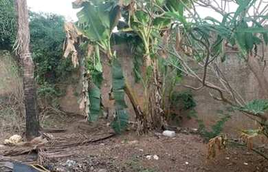 Imagem 4: Aluguel de Casa. Varanda, 1 Vaga na garageme1 Dormitório