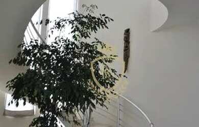 Imagem 16: Casa com 6 dormitórios, 850 m² - venda por R$ 8.000.000,00 ou aluguel...