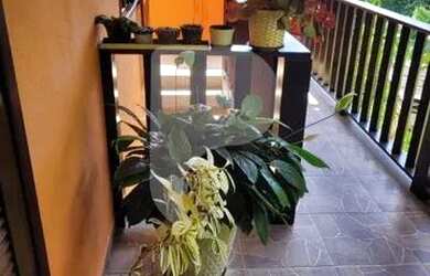 Imagem 14: Areal - Casa Padrão - Areal