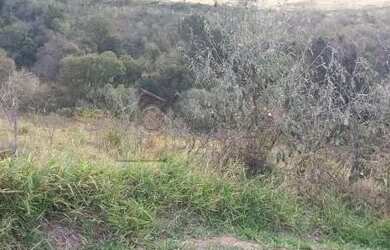 Imagem: O terreno possui 8.130m² de Área e está localizado em Ivoturucaia