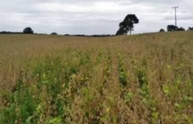 Imagem: A chácara possui 12.000m² de Área e está localizado em