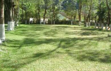 Imagem 5: Terreno Plano Com Casa de Caseiro (tenho 3 terrenos com matrículas e iptu